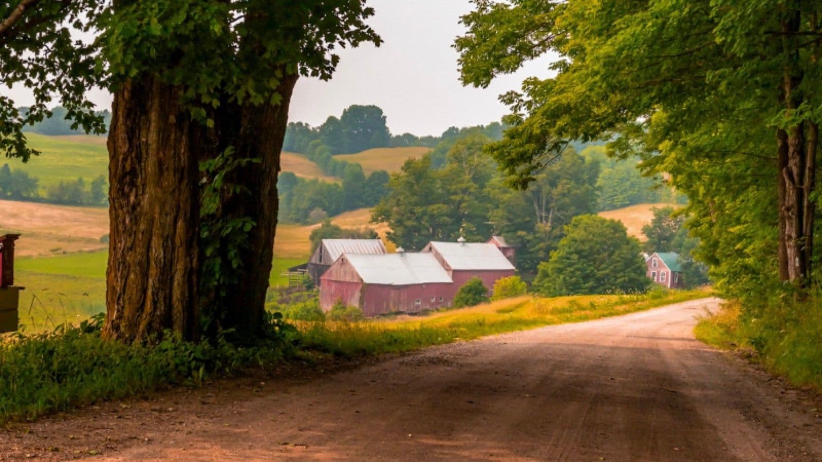 Vermont country road and red barns