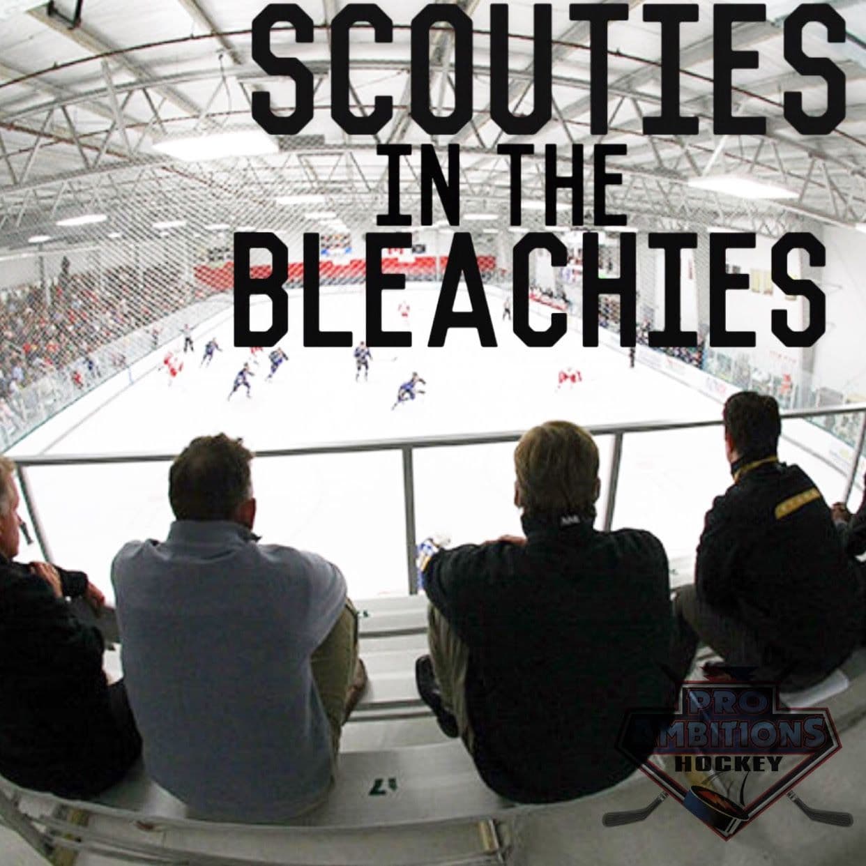 Scouties in the Bleachies
