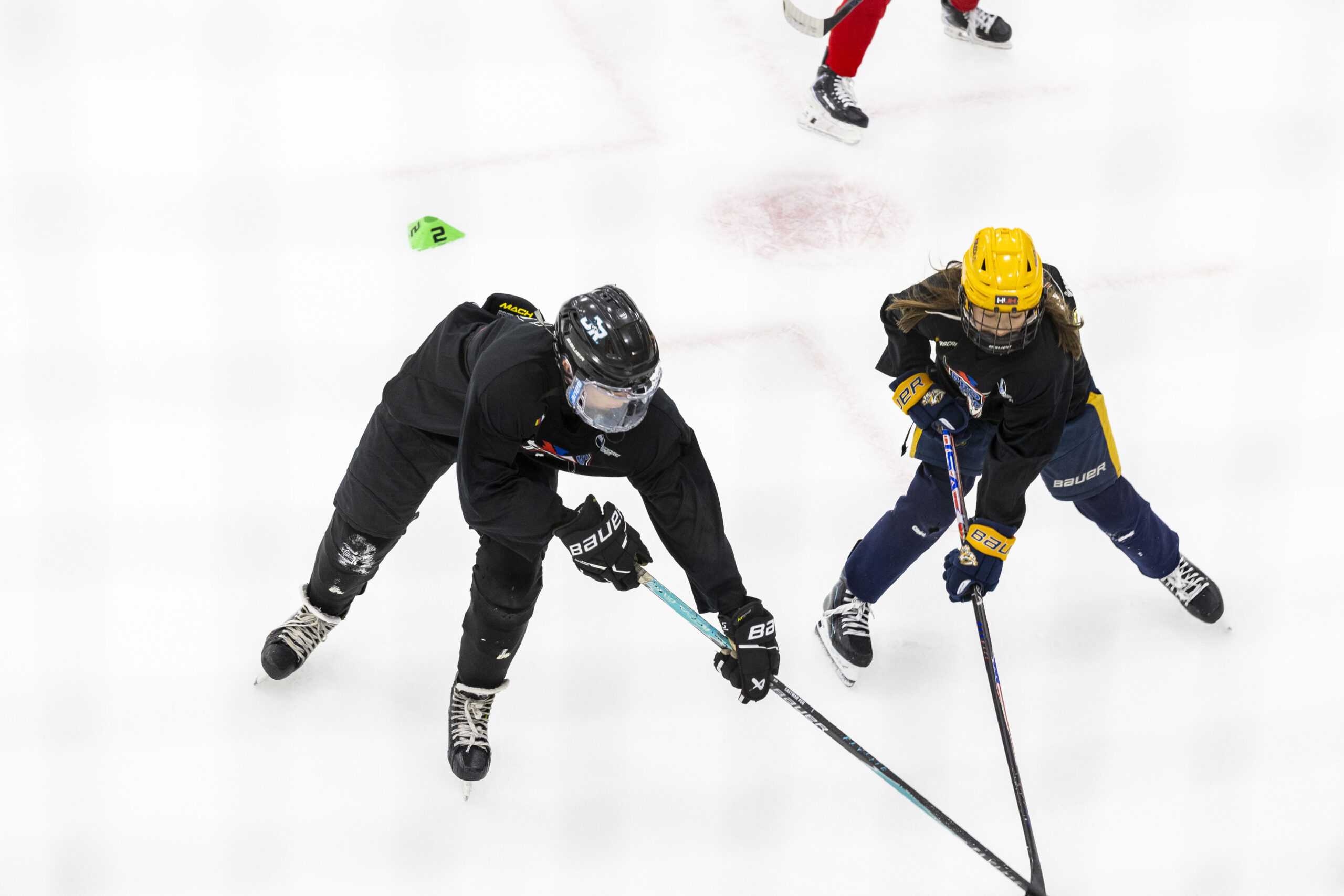 Pro Ambitions Hockey Camp